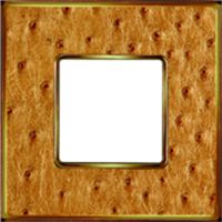 FD01321GOB Fede Vintage Tapestry Рамка 1-ная, Alienagold-Bright Gold