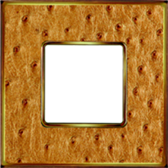 FD01321GOB Fede Vintage Tapestry Рамка 1-ная, Alienagold-Bright Gold