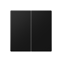 Центральная плата 2 группы стандарт; термопласт; черный матовый, A1702BFSWM