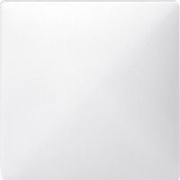 SD Клавиша для мех-змов арт.№ SCMTN577099,577899,575897,575799,574697,573998 полярно-бел.