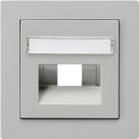 028442 Gira Накладка для коммутационной розетки UAE/IAE с полем для надписи