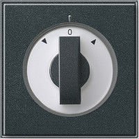 066667 Gira Накладка с ручкой для жалюзи