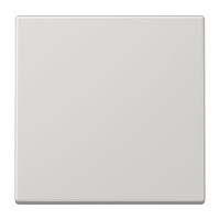 Одинарная клавиша для балансирных механизмов выключателей (кнопок), в комплекте с CD90HP (крепежный элемент), возможно IP44; дюропласт; светло-серый; LS990, LS990LG Одинарная клавиша для балансирных механизмов выключателей (кнопок), в комплекте с CD90HP (крепежный элемент), возможно IP44; дюропласт; светло-серый; LS990, LS990LG