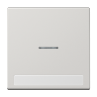 Клавиша для выключателя с подсветкой и полем для надписи; светло-серая, LS990NAKO5LG Клавиша для выключателя с подсветкой и полем для надписи; светло-серая, LS990NAKO5LG