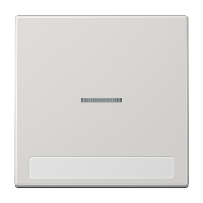 Клавиша для  выключателя с подсветкой и полем для надписи; светло-серая, LS990NAKO5LG