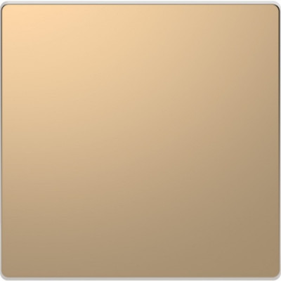 MTN3300-6051 - MERTEN D-Life КЛАВИША 1-ная, ШАМПАНЬ, Schneider Electric