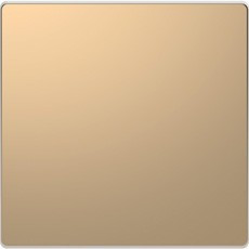 MTN3300-6051 - MERTEN D-Life КЛАВИША 1-ная, ШАМПАНЬ, Schneider Electric