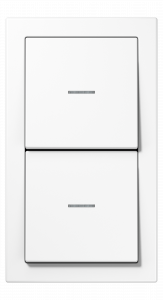 Jung Блок: Выключатель 1-клавишный + Выключатель 1-клавишный, с подсветкой, серия LS Design