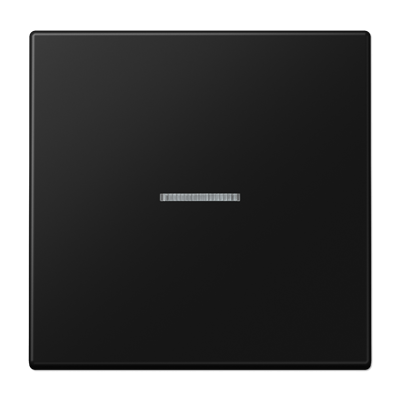 Клавиша для балансирных выключателей с окошком; дюропласт; черный матовый, LS990KO5SWM