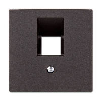 EP569-1BFPLUAAN - Накладка на одинарные UAE-розетки; термопласт; антрацит, Jung