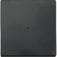 SM, КЛАВИША ДЛЯ МОДУЛЯ 1 КН. ВЫК, АНТРАЦ