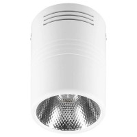 Светильник светодиодный 10W, 800Lm, 30 градусов, белый, AL518, Feron 29577