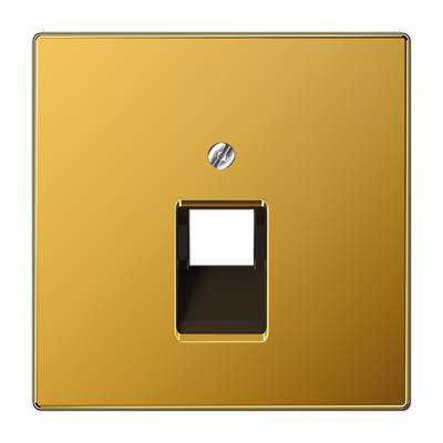 Крышка для одинарной телефонной и компьютерной розетки UAE; золото, LS969-1UAGGO