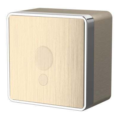 Werkel W5050210/ Вывод кабеля Gallant (шампань рифленый), a051046