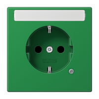 SCHUKO розетка с полем для надписи 9x58 мм, LS1520BFNAKOGN