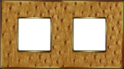 FD01322GOB Fede Vintage Tapestry Рамка 2-ная, Alienagold-Bright Gold