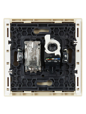 FORTE&PIANO Роз. двойная TV+RJ45 кат.5E FP436 ван. IEK, FP-AK20-1-K10