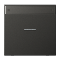 Клавиша для контрольного выключателя с подсветкой, с полем для надписи; антрацит, AL2990NAKO5AN