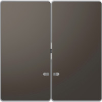 D-Life Клавиша 2-ная с линзой для LED-модуля, антрацит