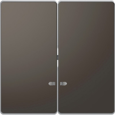 D-Life Клавиша 2-ная с линзой для LED-модуля, антрацит