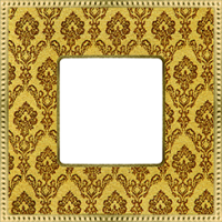 FD01441DGOB Fede Belle Epoque Tapestry Рамка 1-ая gold-Bright Gold