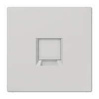 Плата (фиксация защёлкиванием) для одного модуля; термопласт; светло-серый, LS1969-1WELG Плата (фиксация защёлкиванием) для одного модуля; термопласт; светло-серый, LS1969-1WELG