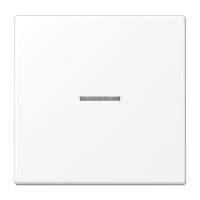 Клавиша для балансирных выключателей с окошком; дюропласт; белый матовый, LS990KO5WWM Клавиша для балансирных выключателей с окошком; дюропласт; белый матовый, LS990KO5WWM