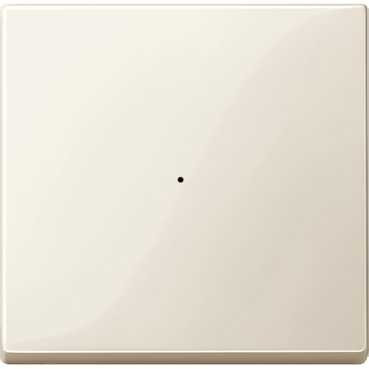 SM, КЛАВИША ДЛЯ МОДУЛЯ 1 КН. ВЫК, БЕЖ.БЛ