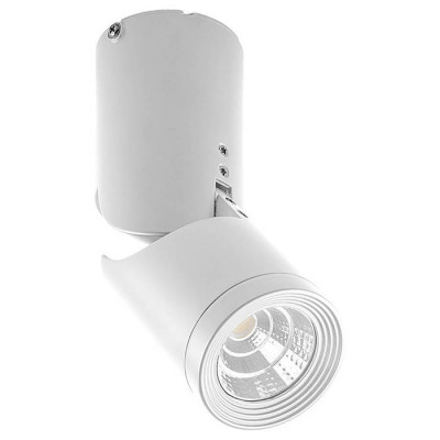 Светильник светодиодный 10W, 800Lm, 30 градусов, белый, наклонный, AL517, Feron 29576