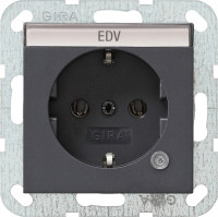 045228 Gira Розетка с з/к и контрольной лампой и полем для надписи
