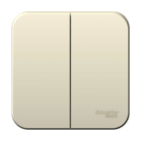 BLANCA О/У 2-клавишный ВЫКЛЮЧАТЕЛЬ (cх.5), 10А, 250B,МОЛОЧНЫЙ BLANCA О/У 2-клавишный ВЫКЛЮЧАТЕЛЬ (cх.5), 10А, 250B,МОЛОЧНЫЙ