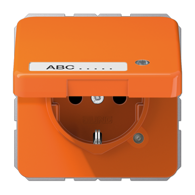 SCHUKO-розетка с крышкой, CD1520NAKLKOO