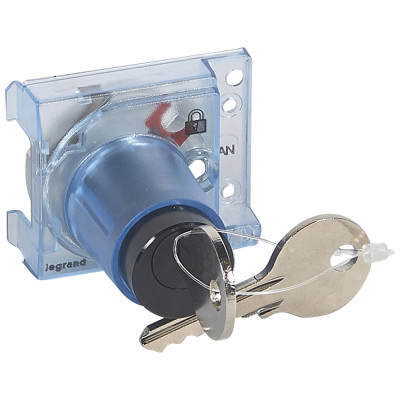 Legrand Цилиндровый замок Ronis - DPX? 160/250 - для электродвигательного привода, устанавливаемого сбоку, 421065