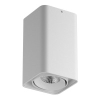 Lightstar 052336-IP65 Светильник MONOCCO LED10W 600LM 30G БЕЛЫЙ 3000K (в комплекте)
