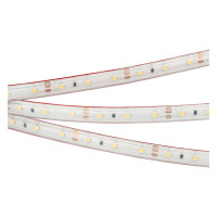 Светодиодная лента герметичная RTW-PS-A60-10mm 12V Warm2700 (4.8 W/m, IP67, 2835, 5m) (Arlight, 4.8 Вт/м, IP67), 028506(2)