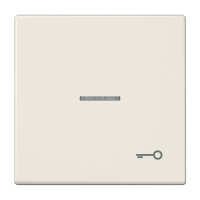 Клавиша для выключателя с символом «Ключ», LS990KO5T