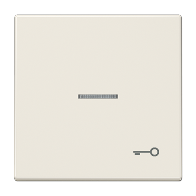 Клавиша для выключателя с символом «Ключ», LS990KO5T