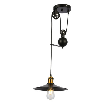 Evoluce SLE120503-01 Подвес Черный/Черный E27 1*60W