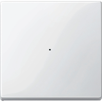 SM, КЛАВИША ДЛЯ МОДУЛЯ 1 КН. ВЫК, П.БЕЛ