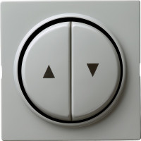 029442 Gira Двойная клавиша для жалюзи со стрелками