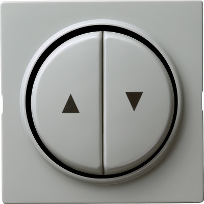 029442 Gira Двойная клавиша для жалюзи со стрелками