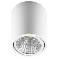 Светильник светодиодный 10W, 800Lm, 30 градусов, белый, поворотный, AL516, Feron 29575