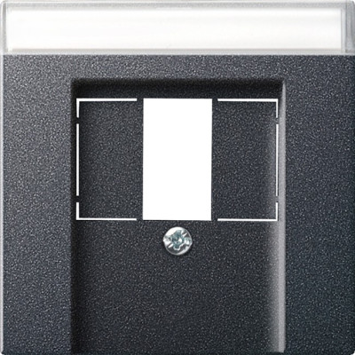 087628 Gira Накладка телефонной розетки TAE+Стерео+USB с полем для надписи