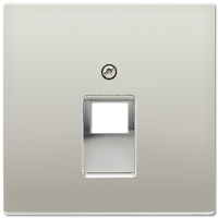 Крышка для одинарных телефонных и компьютерных розеток (UAE), фиксация винтом; металл; нержавеющая сталь; Edelstahl, ES2969-1UA Крышка для одинарных телефонных и компьютерных розеток (UAE), фиксация винтом; металл; нержавеющая сталь; Edelstahl, ES2969-1UA