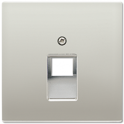 Крышка для одинарных телефонных и компьютерных розеток (UAE), фиксация винтом; металл; нержавеющая сталь; Edelstahl, ES2969-1UA