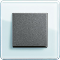 Gira Выключатель 1-клавишный, матовый антрацит - салатовое стекло,серия Esprit Glass C
