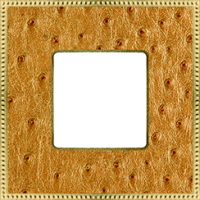 FD01441GOB Fede Belle Epoque Tapestry Рамка 1-ная, Alienagold-Bright Gold