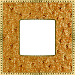 FD01441GOB Fede Belle Epoque Tapestry Рамка 1-ная, Alienagold-Bright Gold