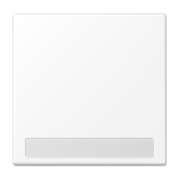 Клавиша для балансирных выключателей с полем для надписи; дюропласт; белый матовый, LS990NAWWM Клавиша для балансирных выключателей с полем для надписи; дюропласт; белый матовый, LS990NAWWM