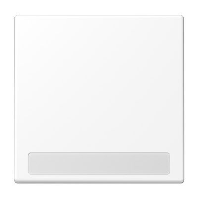 Клавиша для балансирных выключателей с полем для надписи; дюропласт; белый матовый, LS990NAWWM